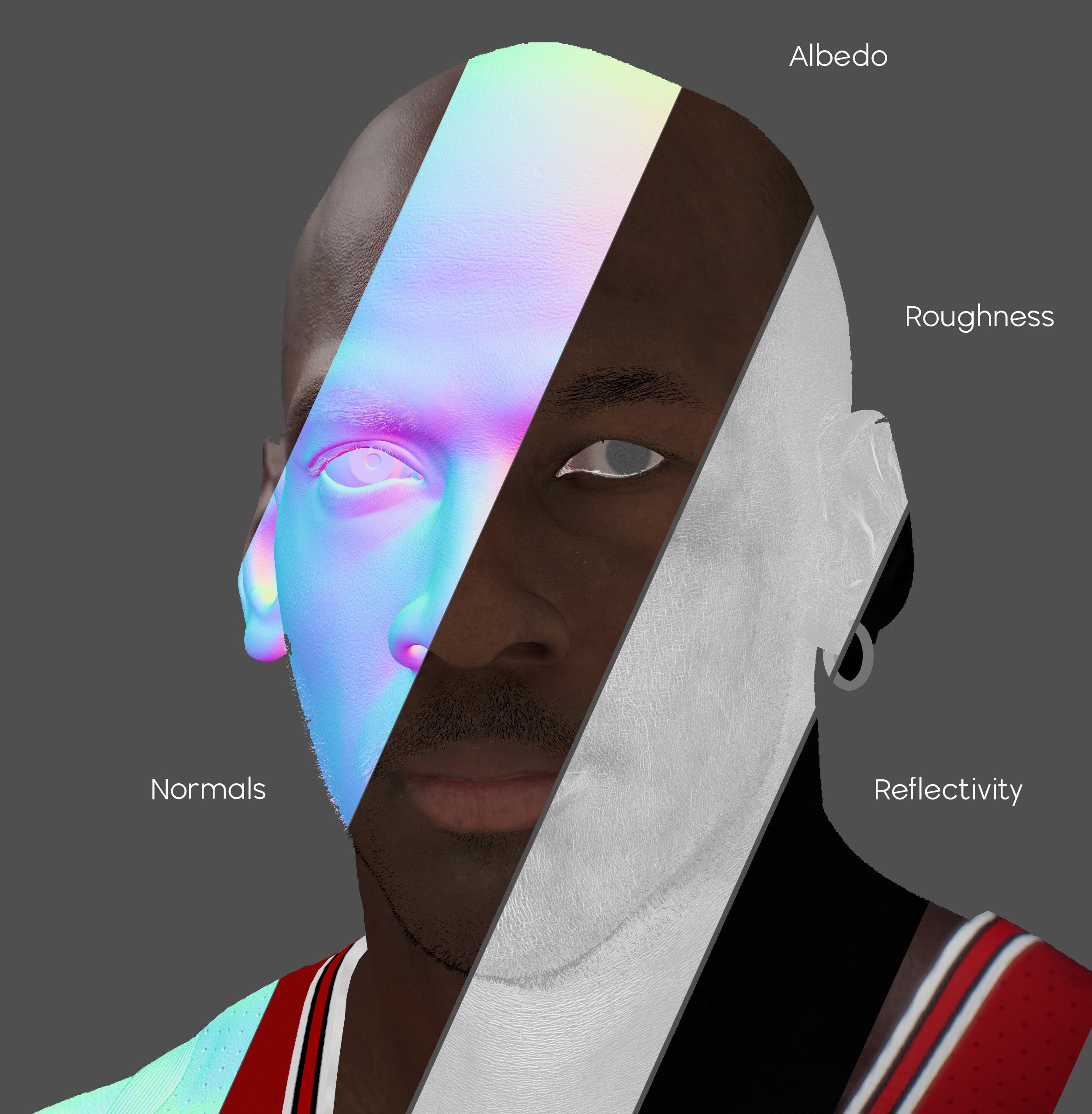 Curso de semejanza y anatomía facial